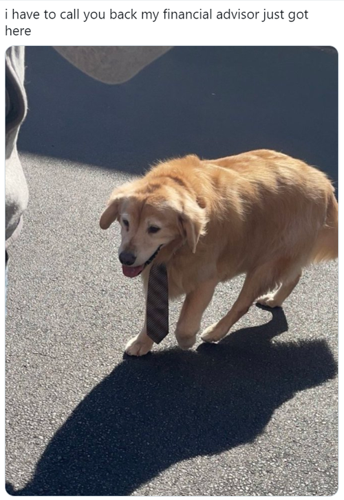 Screengrab of tweet with a picture of a dog wearing a tie