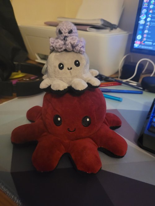 Ella&#x27;s collection of octoplushies